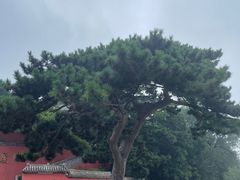 -妙峰山风景名胜区