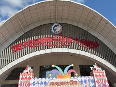 -灵玲国际马戏城