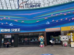 -海合安武汉极地海洋公园