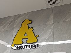 -半岛宠物医院24小时(白果林店)