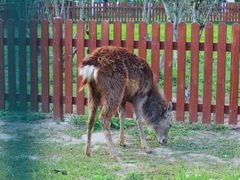-上海交通大学(闵行校区)