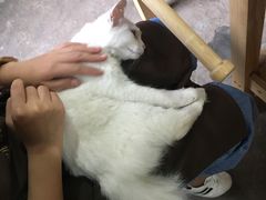 -五月木作·DIY木作文创体验店(北京路店)