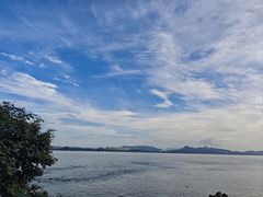 -深圳湾公园(南山区)