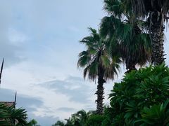 -三亚亚龙湾雅高铂尔曼别墅度假酒店