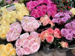 -双季花艺园艺市场(浦东店)