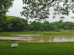 -上海海湾国家森林公园