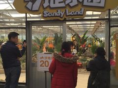 -南宫五洲植物乐园