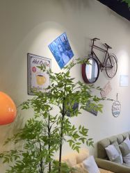 -变美丽半永久纹眉连锁·机器野生眉•洗眉