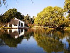 -上海共青森林公园