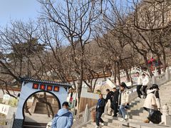 -青岩寺风景区