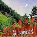 千岛湖小众旅游地推荐|夏天去看萤火虫呀