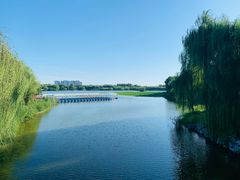 -大兴滨河森林公园