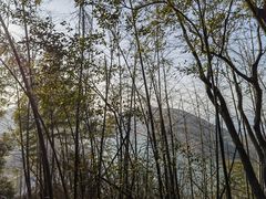 -长沙黑麋峰国家森林公园