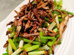 -老刺参海鲜酒楼