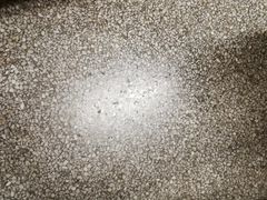 -东南大学（四牌楼校区）体育馆