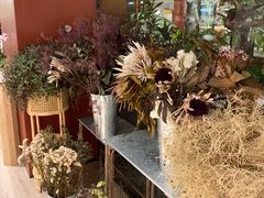 -二酉书店TOYOU BOOKS