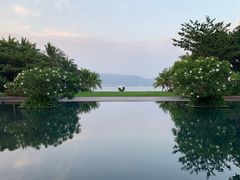 -柏悦酒店-沁园牛排海鲜西餐厅
