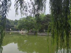 -黄村公园
