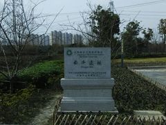 -上海崧泽遗址博物馆