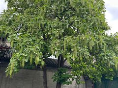 -张学良旧居陈列馆