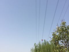 -古柏渡飞黄旅游区