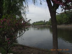 -西海子公园