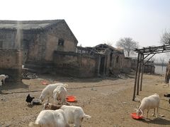 -盛世南宫影视城(北普陀影视城)