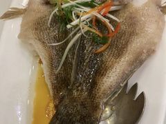 -梅龙镇酒家(南京西路总店)