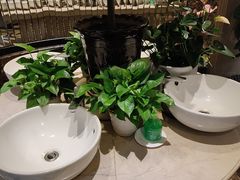 -大梅沙海鲜汇(岳麓店)