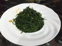 -蒙古大营(朝阳公园店)