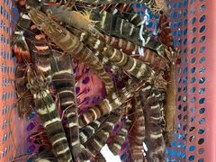 -鸿港海鲜批发市场