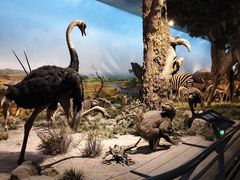 -国家自然博物馆