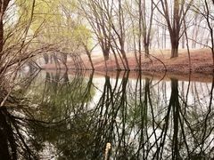 -长白岛森林公园