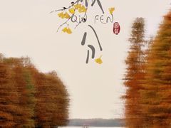 -上海海湾国家森林公园