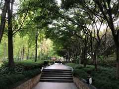 -蠡湖大桥公园