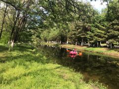 -长白岛森林公园