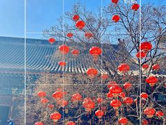 -香山公园