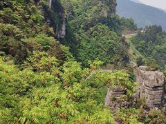 -梦幻奥陶纪景区