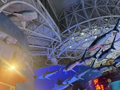 -烟台海昌鲸鲨海洋公园