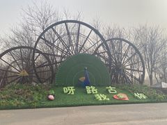 -呀路古热带植物园