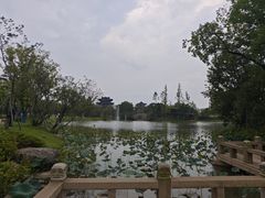 -江心屿景区