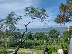 -云禾壹海景庄园餐厅
