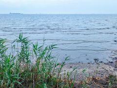 -上海吴淞炮台湾国家湿地公园