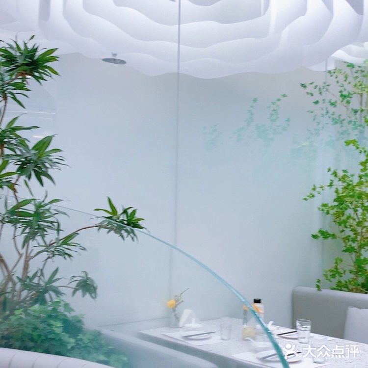 北京首店｜去大树餐厅摘一片云