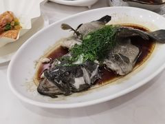-金华安大酒楼·老牌潮菜·粤式茶点(东方国际店)