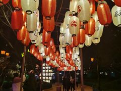 -七彩云南欢乐世界