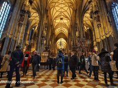 -斯蒂芬主教座堂(Stephansdom)