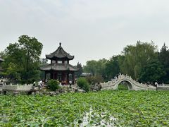 -莲池书院博物馆