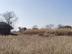 -良渚古城遗址公园
