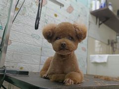 -馨方园食府·市井老南京菜